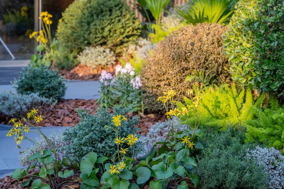 古城记忆花园 · 无锡安居仁恒夹城里丨中国无锡丨MEDG 现工设计-9