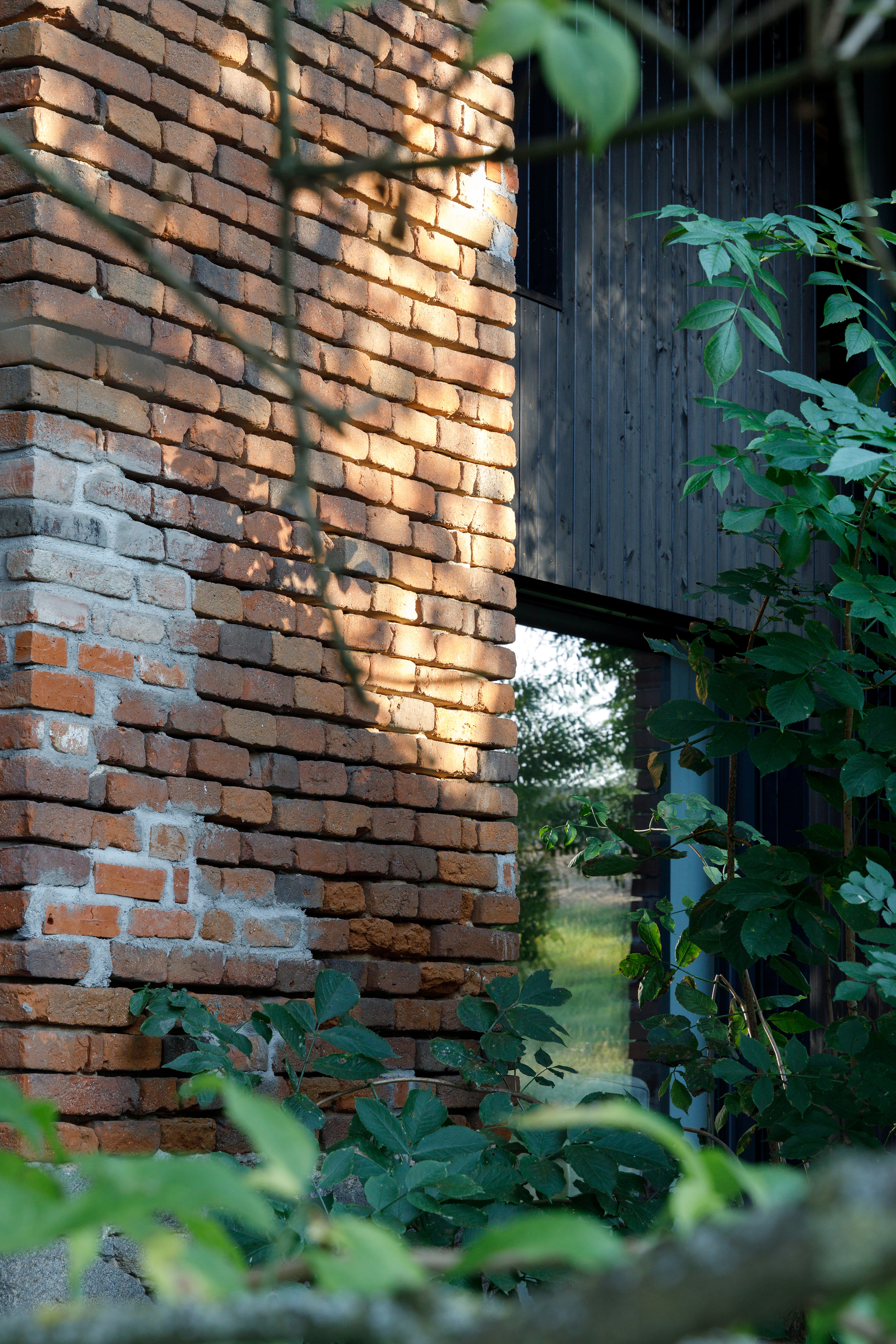 丨奥地利丨Moser und Hager Architekten-35