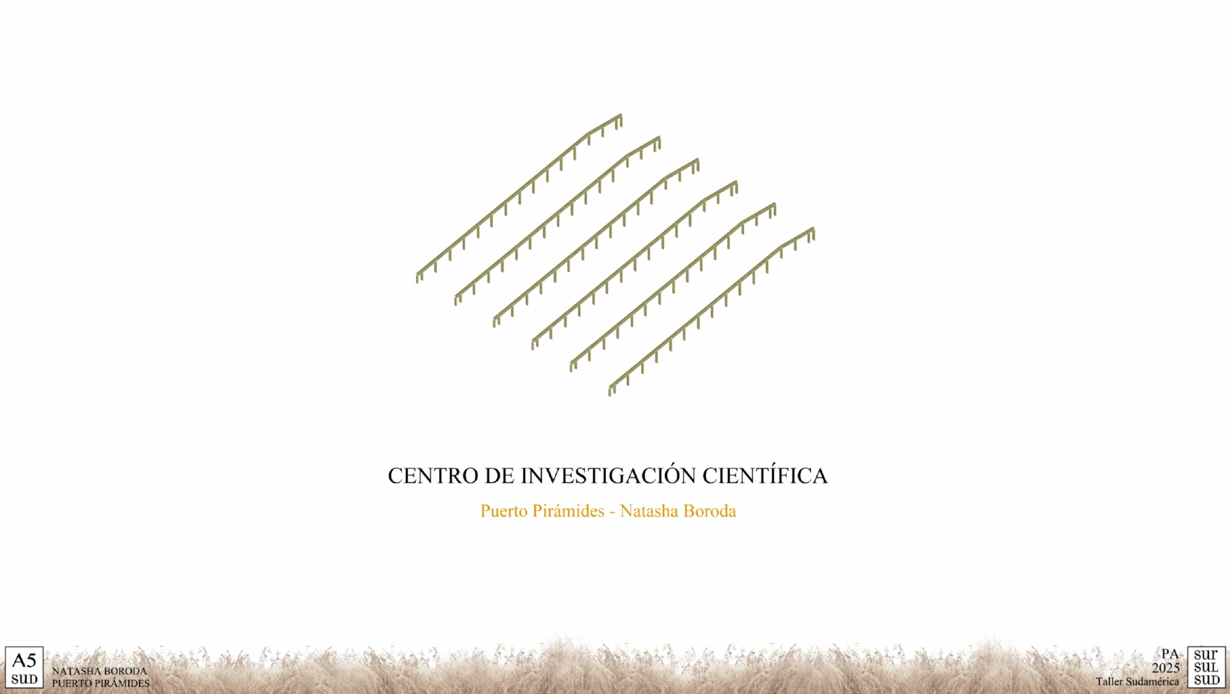 Puerto Pirámide | Centro de Investigacion-0