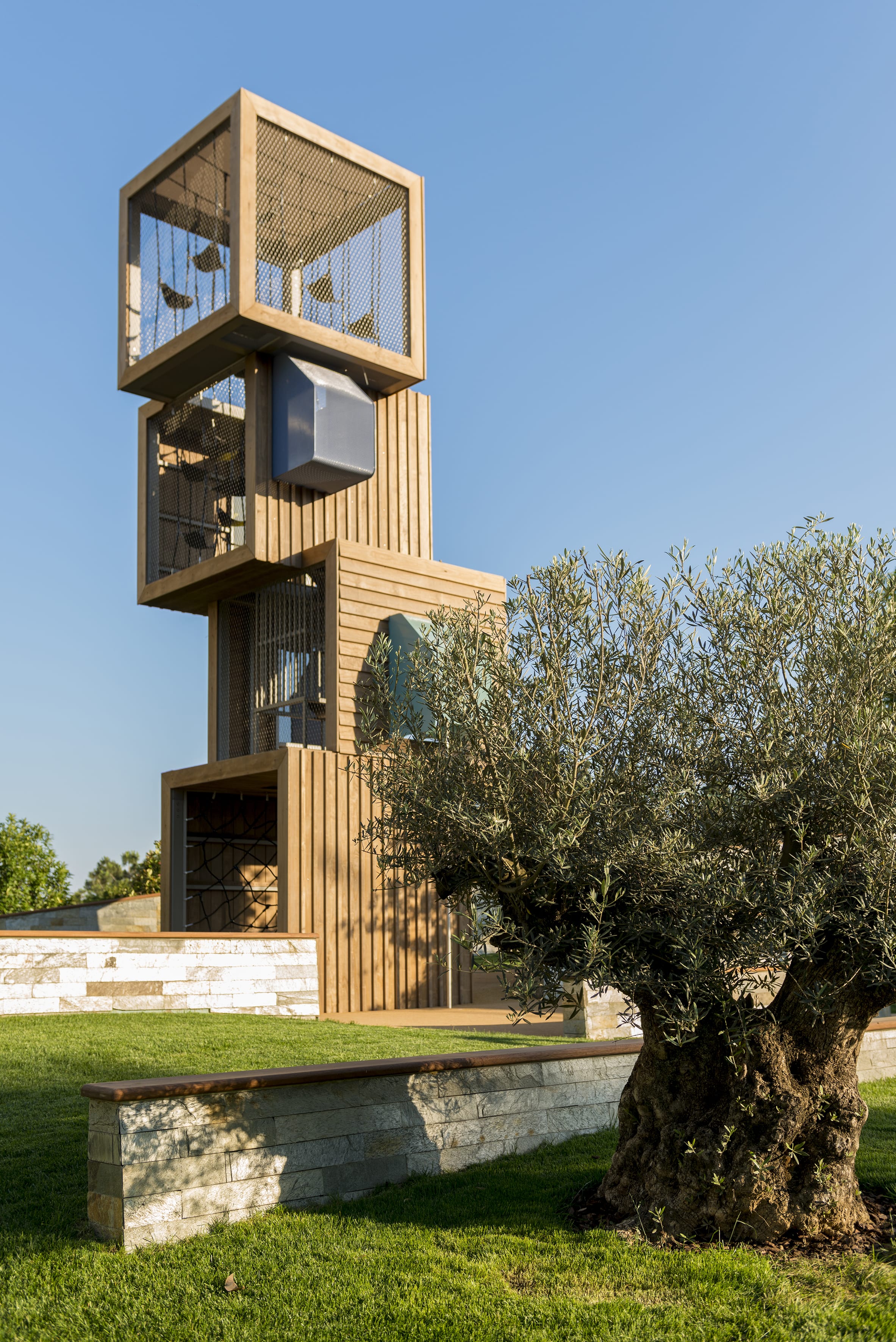 佐鲁中心，雕刻-37