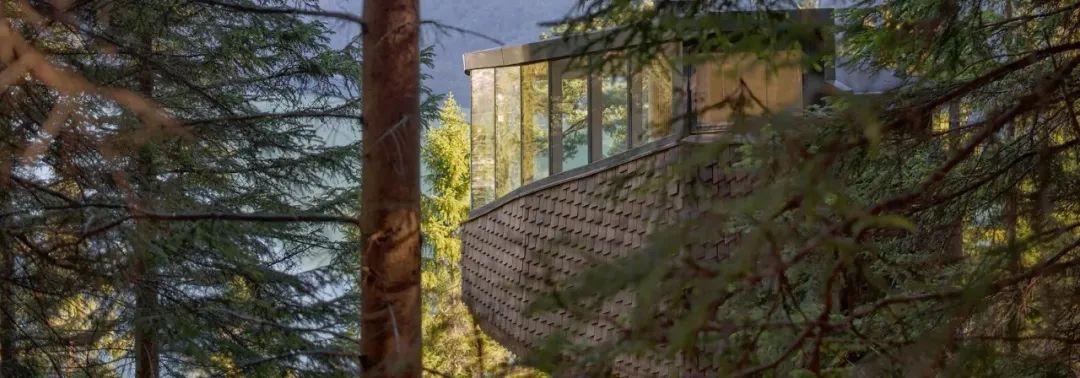 木屋世界:海伦 & 哈德将木巢树屋,系在挪威的松树上-11