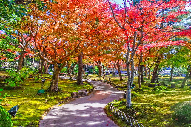 由志園丨中国松江-19