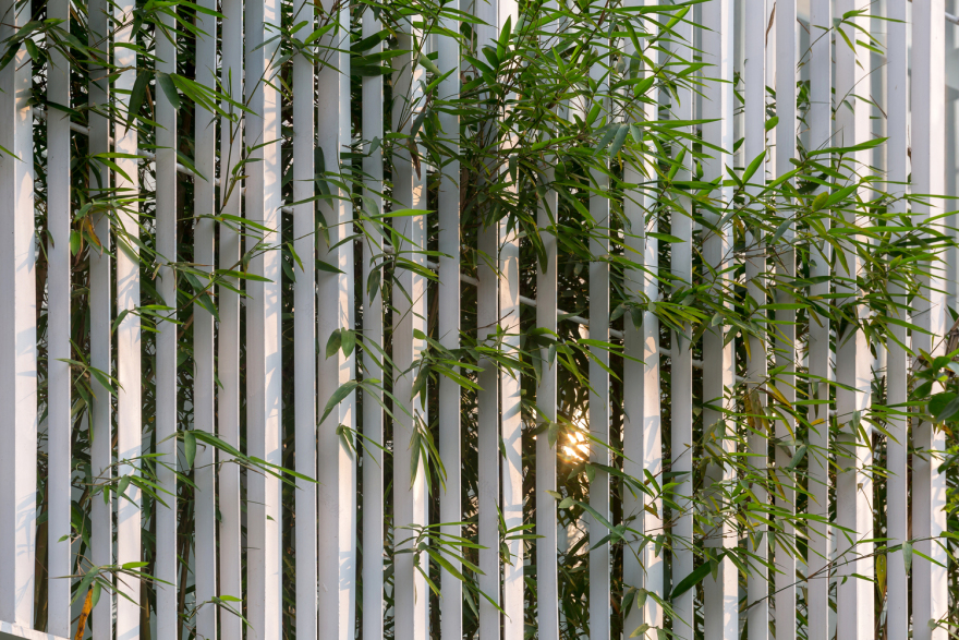 越南绿色牙科诊所丨BHA studio-26