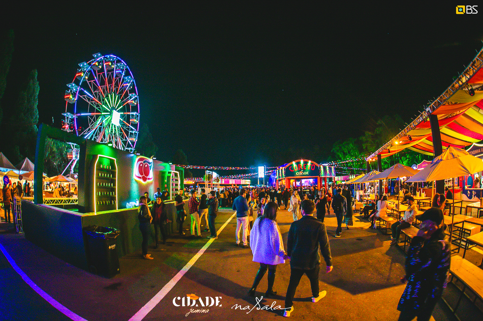 朱尼纳城第三版·2024-11