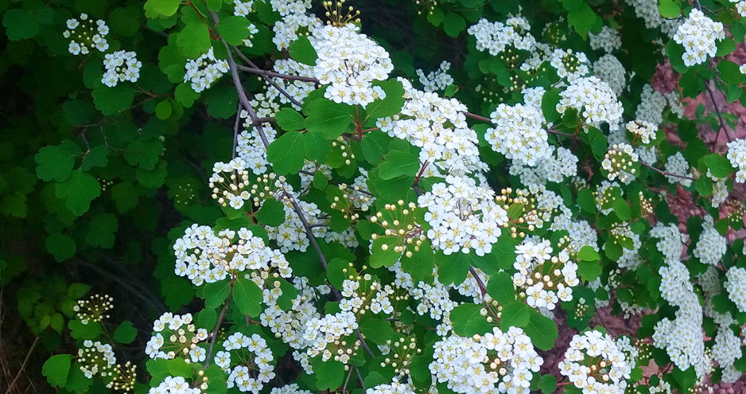 原生态景区中的热情团队之旅-13