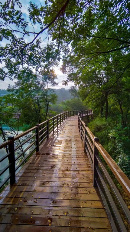 建证美好时代·优秀设计项目展播｜云竹湖文化旅游度假景区总体环境设计-46