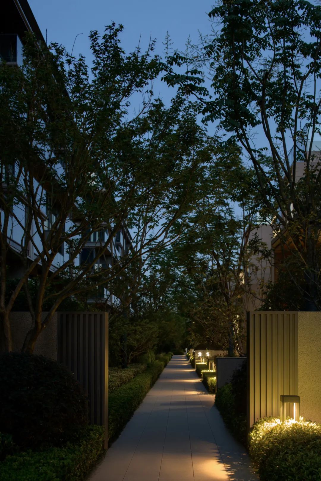 自然无界 乐享湖滨 | 临安蓝城桃李湖滨（大区）-80