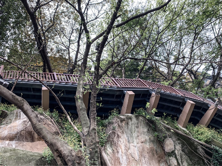 戴家巷崖壁公园丨中国重庆-42