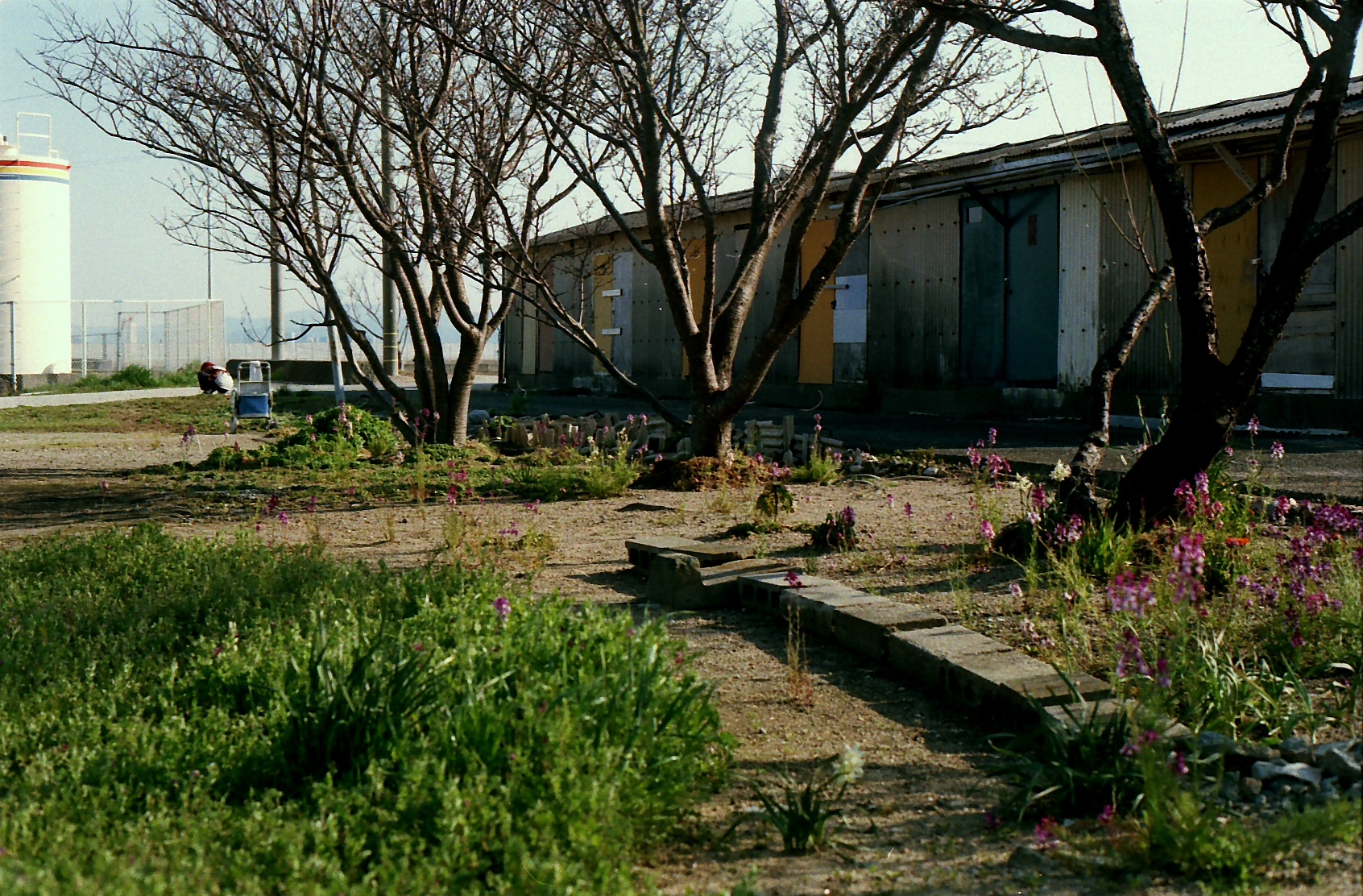 Film lives on.-18