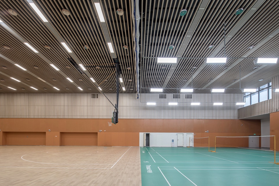 深圳桃园小学 | 高楼林立下的“城市绿洲”-108