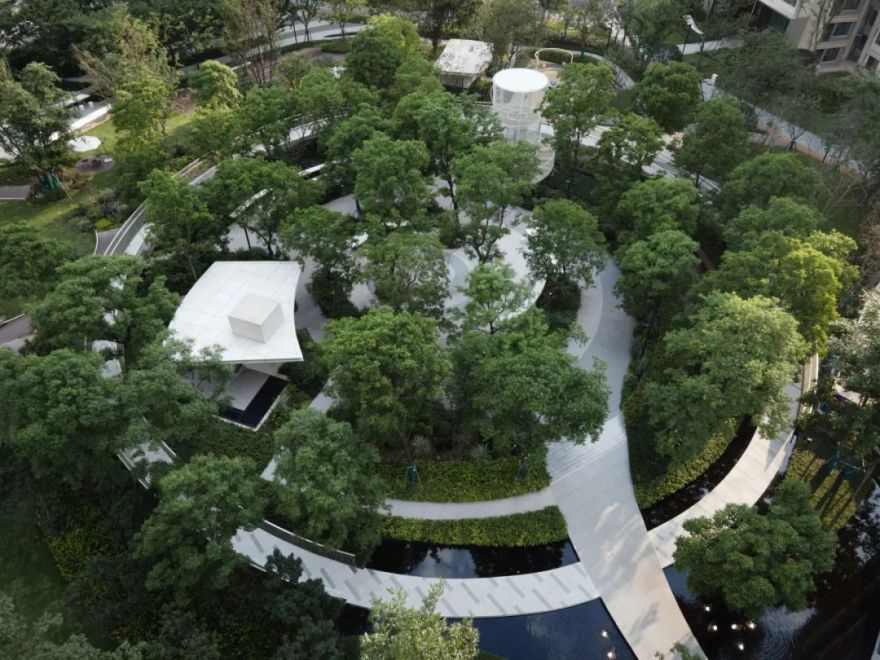 重新组合自然美 · 植物设计浅谈丨中国南京-60