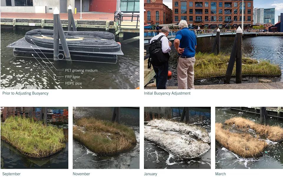 2018ASLA 研究奖得主 | 巴尔的摩漂浮湿地改善水质，促进生物多样性-35
