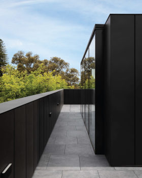 Albert Street Cera Stribley Architect