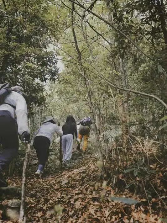 野奢秘境,探寻春日浪漫-186