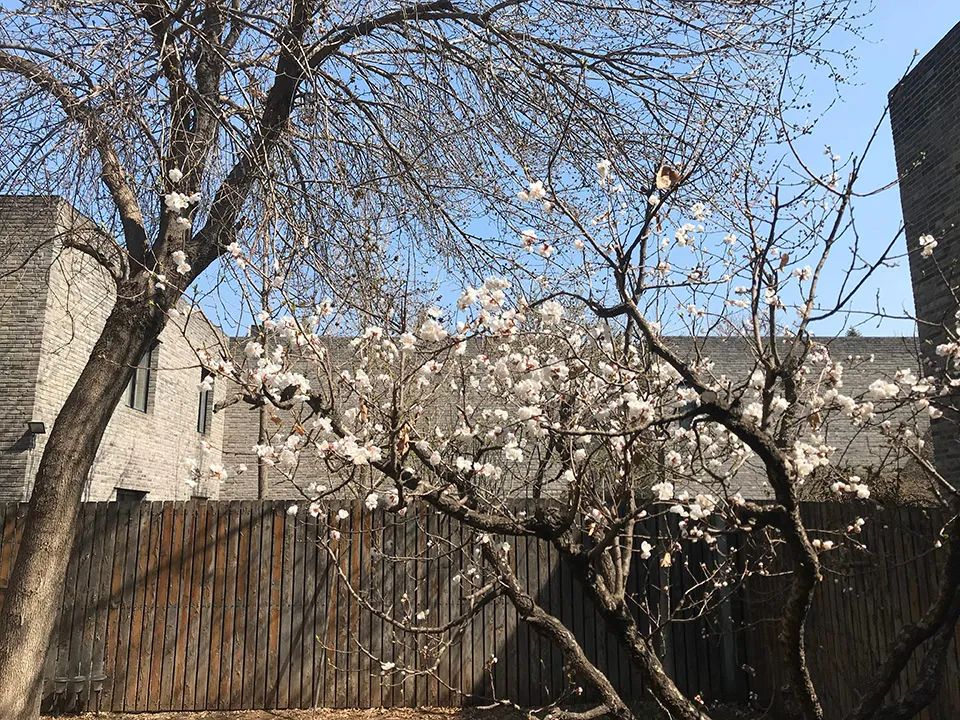 九层塔系列展览丨中国深圳丨崔灿灿,刘晓都等-11