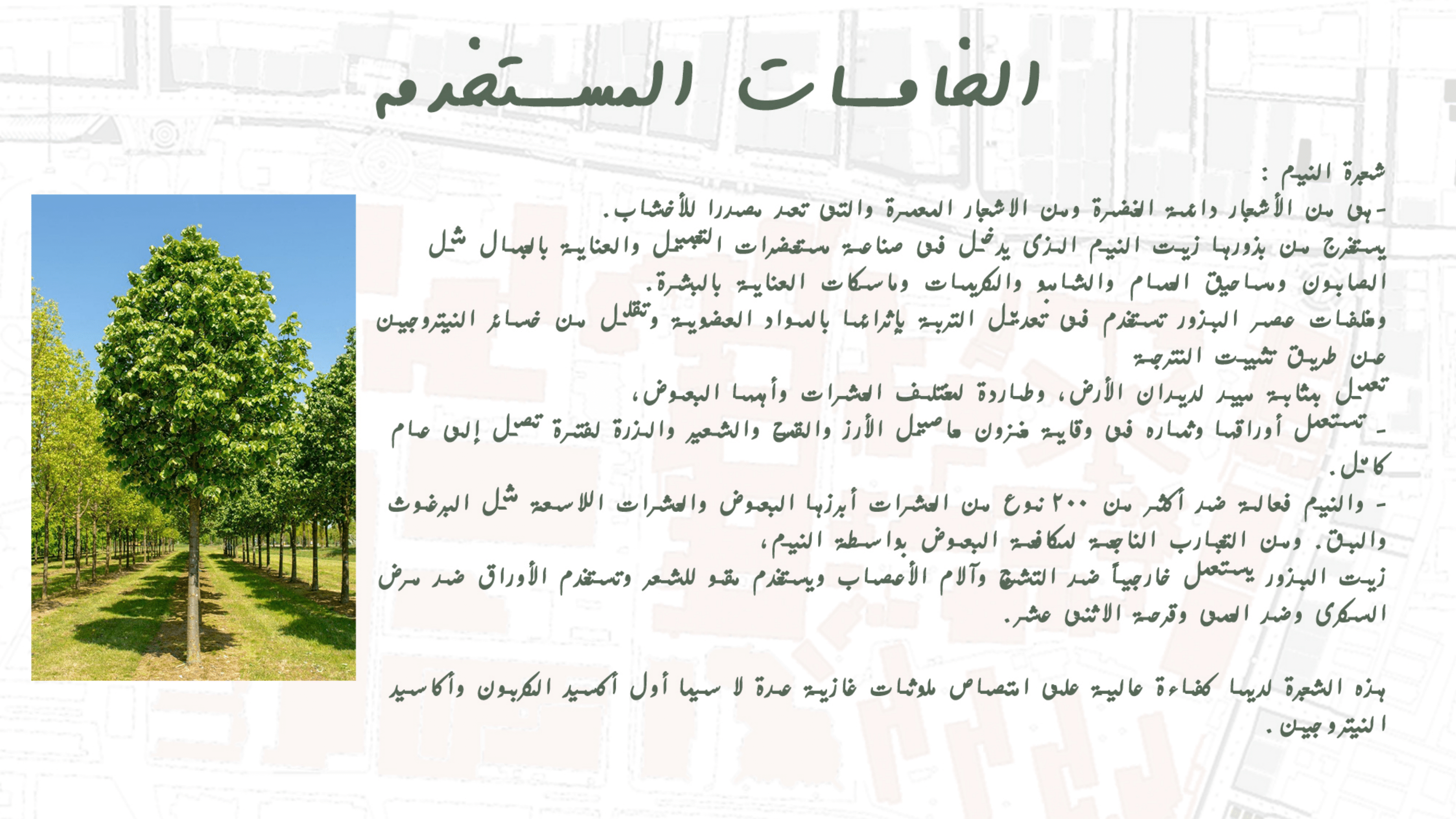 حكاية تطوير | تطوير شارعي جيهان والمشاية بالمنصورة.-61