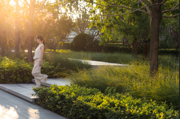 金桥西棠丨中国郑州丨JTL 加特林(重庆)景观规划设计有限公司-15