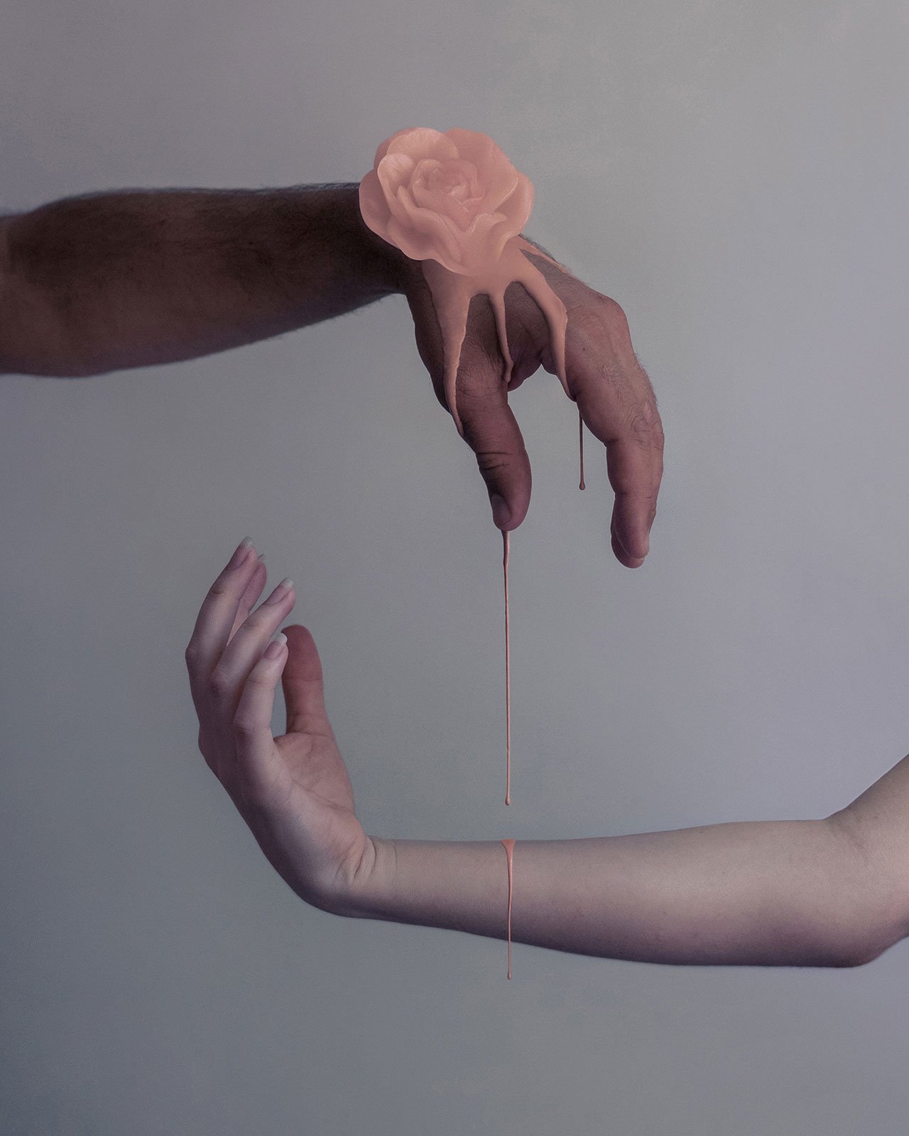 梦幻般的花语 | 摄影师 Brooke DiDonato 的家与创作-27