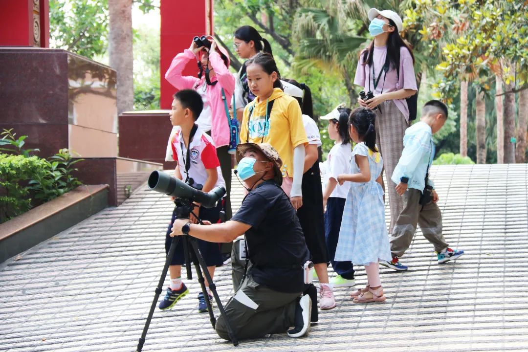 茏腾·探秘自然·鸟类涂鸦之旅-5