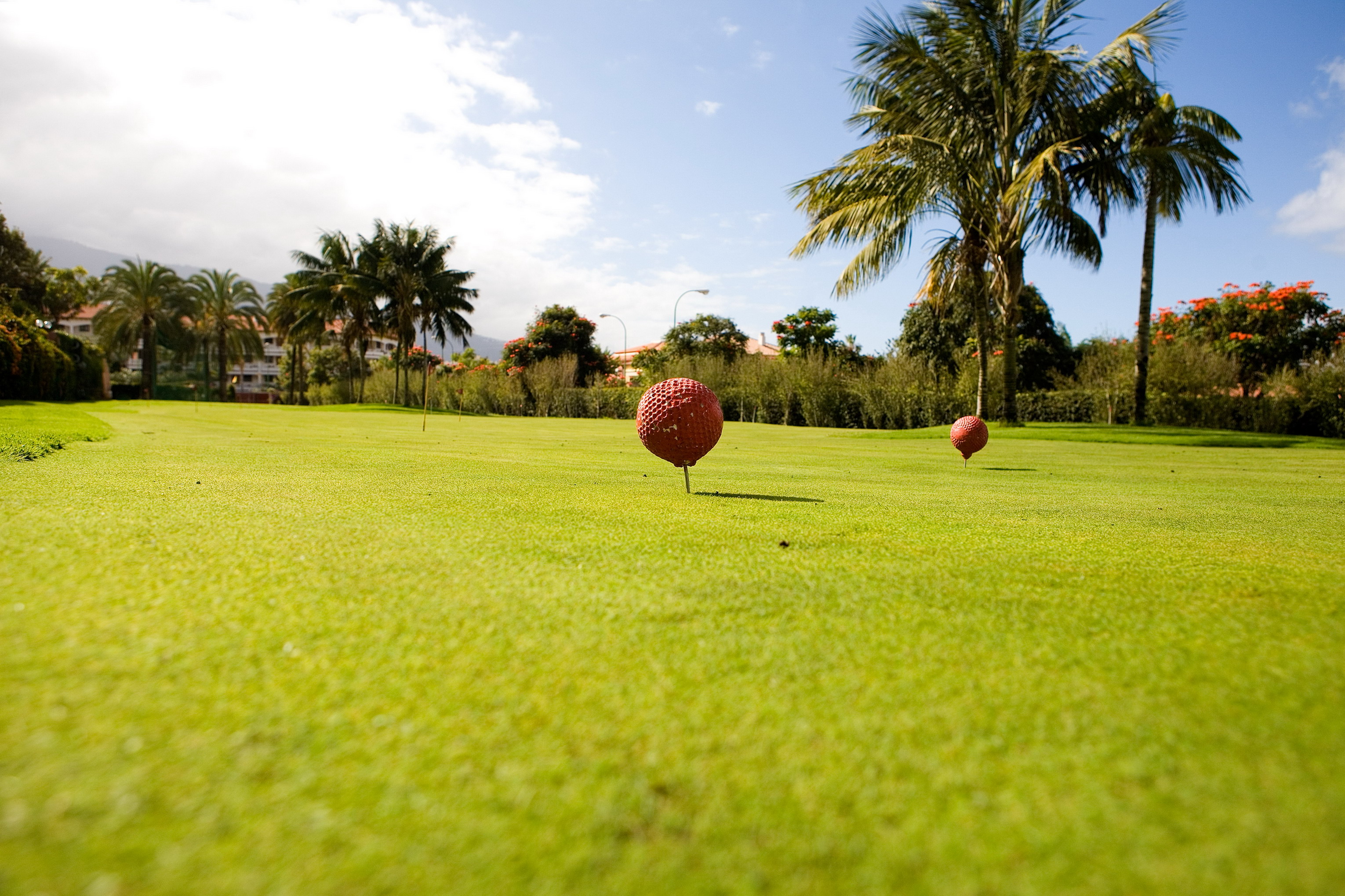 西班牙伯塔尼克酒店及东方SPA公园(特纳里费岛)-12