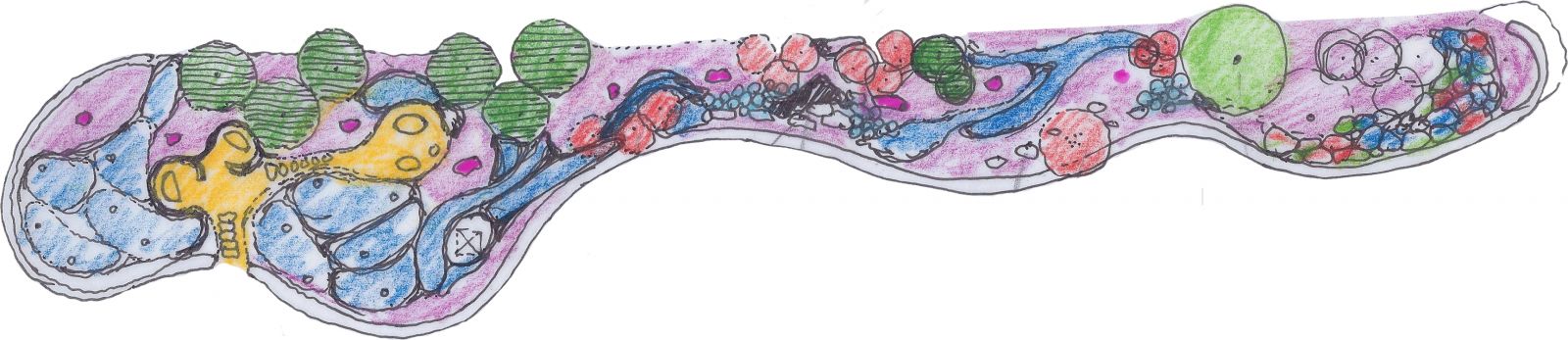 大直豐匯中庭住宅景觀設計丨中国台北丨梁正芳建築師事務所,玫格聯合建築師事務所-13