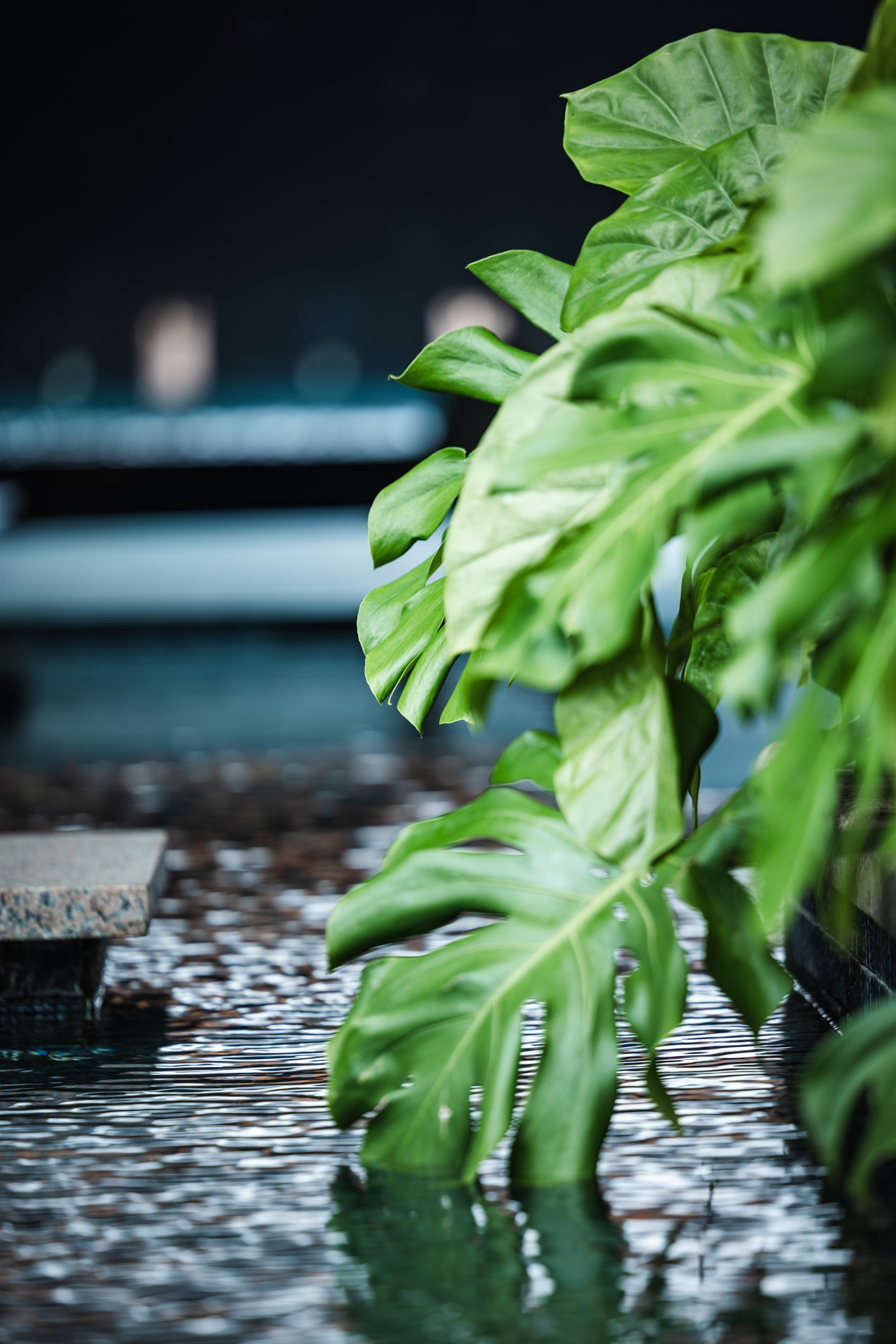 一平方米的静心-2