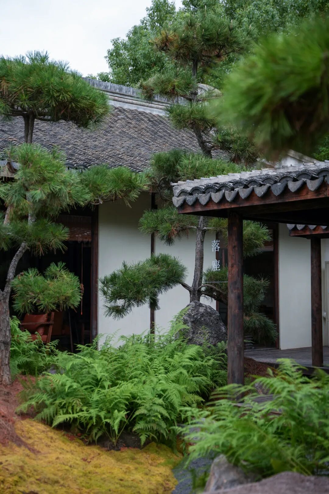 未竟园|当浦东百年历史民宅遇见京都苔寺，会生出怎样的新花园？-84