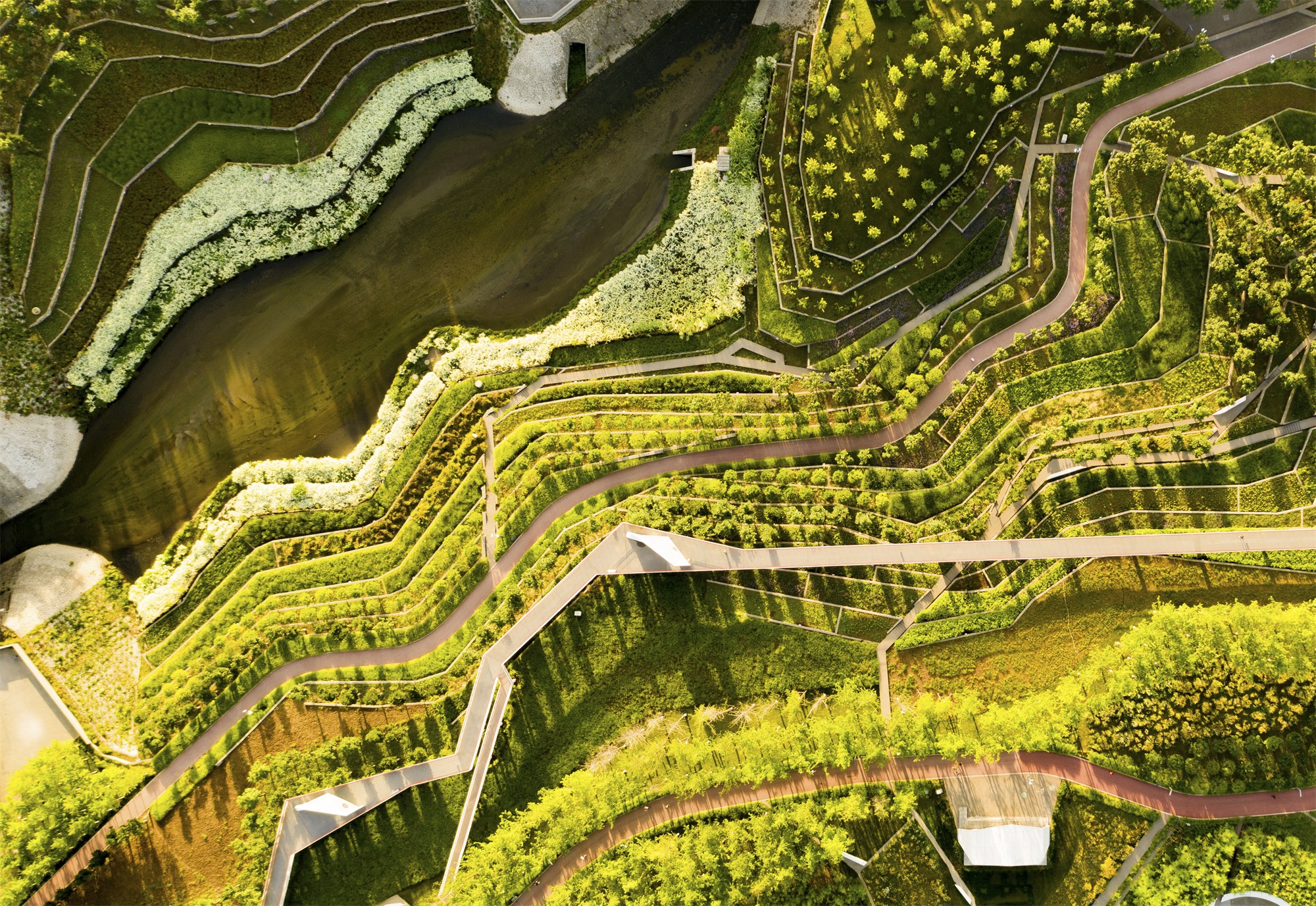 西安雁南公园（二期）丨中国西安丨土人设计（Turenscape）-121