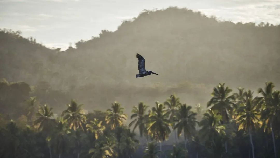 野花农场度假村丨美国纽约丨Auberge Resorts Collection-48