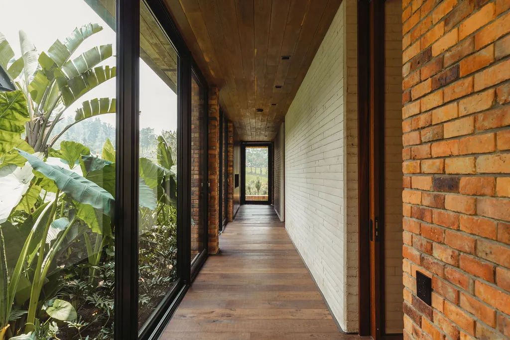 安蒂奥基亚 C+n 家庭住宅 | 自然环境与室内空间的完美融合-12