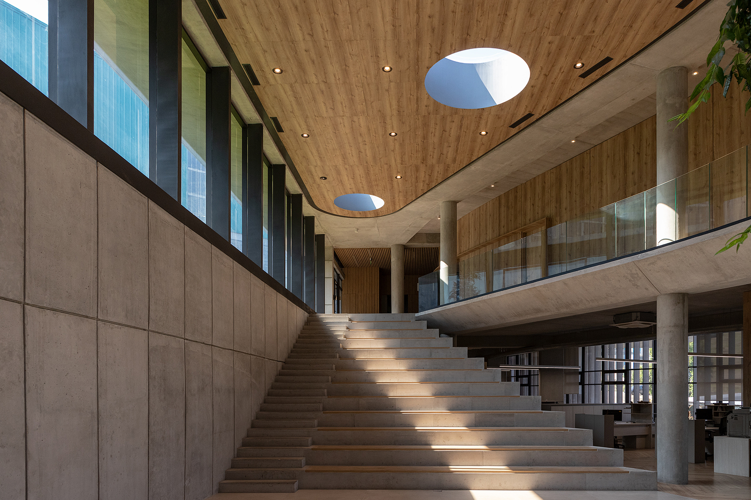 诺沃潘办公室丨厄瓜多尔丨Diez + Muller Arquitectos-18