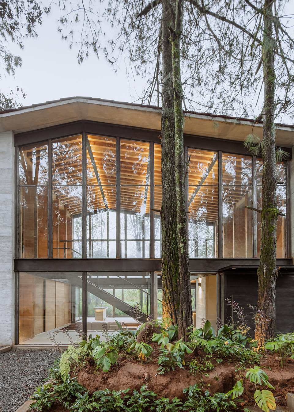 高树之家丨墨西哥丨1i Arquitectura-62