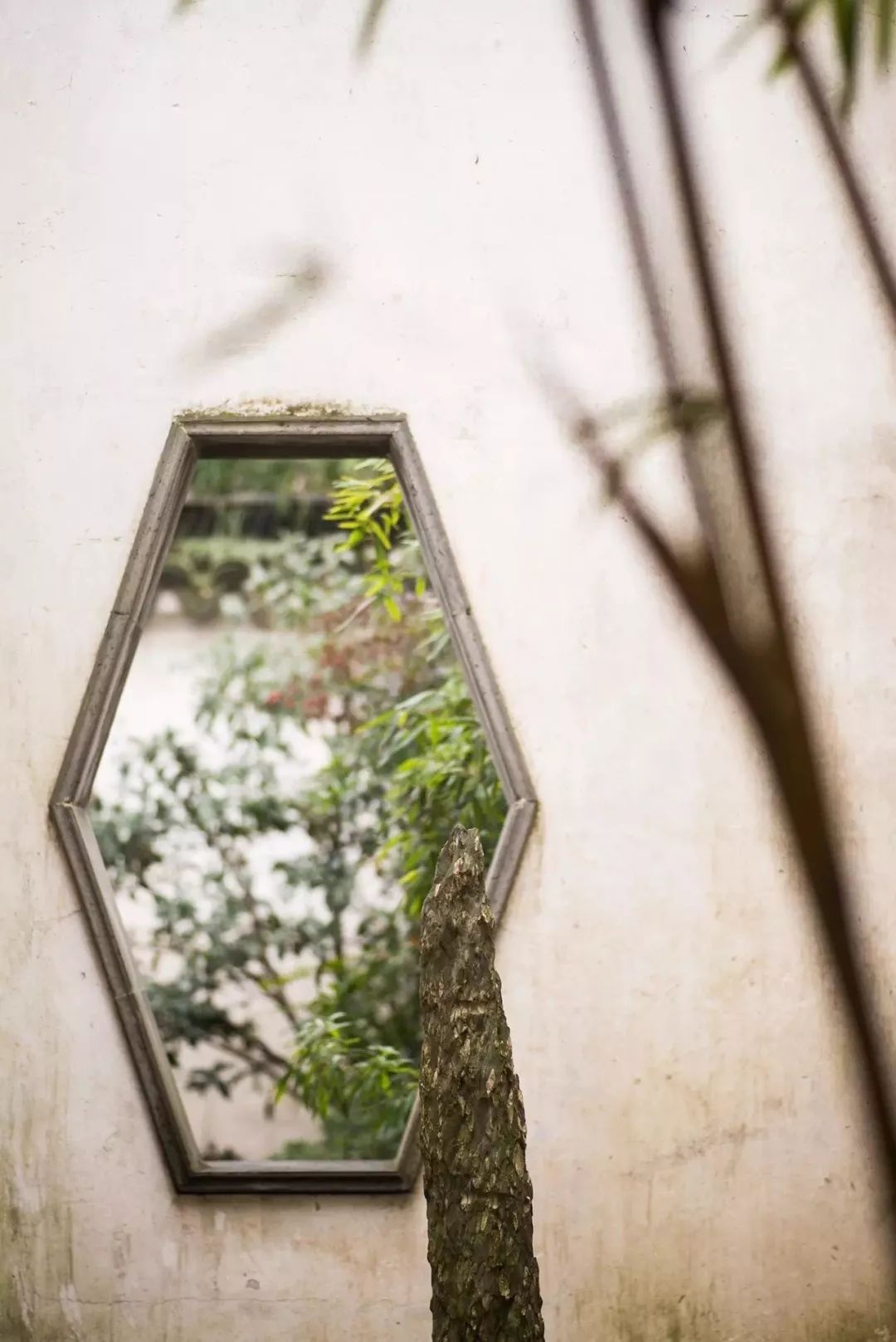 窗景如诗 | 四季园林,诗意生活-106