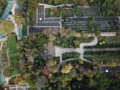 英魂长驻,青山焕新——园林股份修缮皖南事变三烈士墓-7