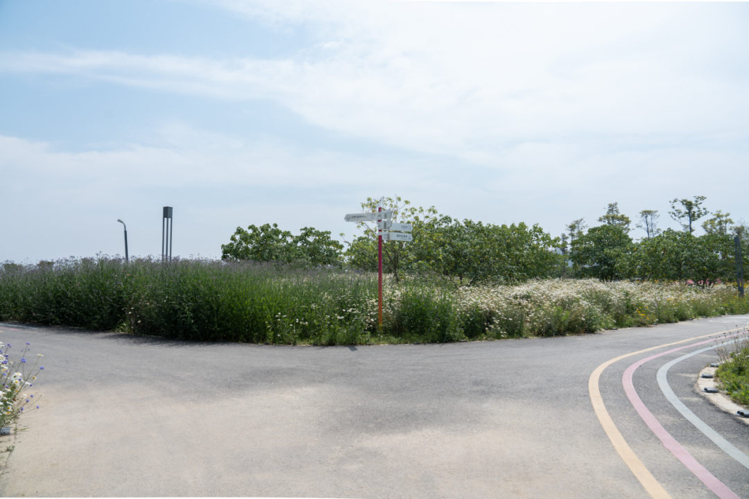 那条飘带 等你触碰:成都大运公园,BOXI柏熙标识丨中国成都丨上海柏熙标识有限公司-52