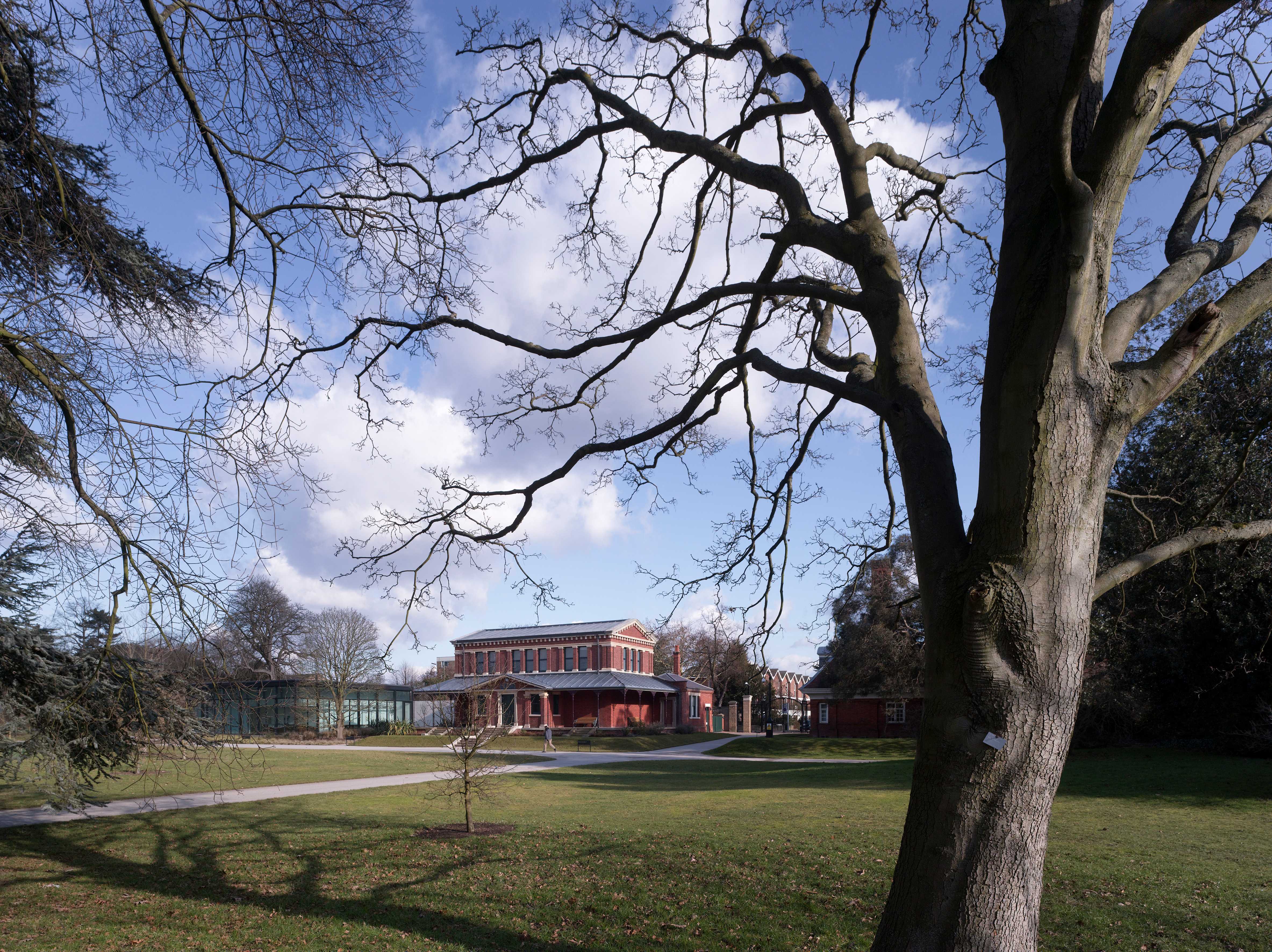 邱园植物艺术画廊（雪莉舍伍德美术馆）-44