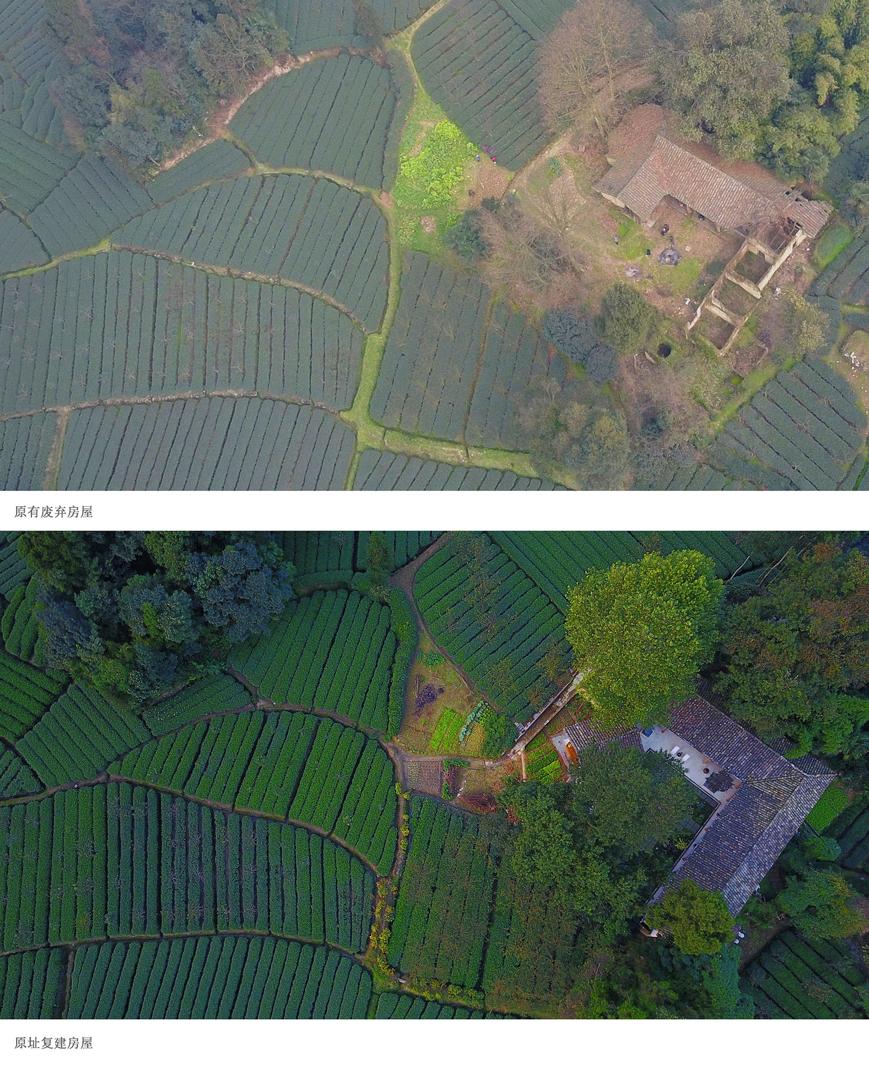 小茶院丨中国雅安丨北京使然建筑设计有限公司-54