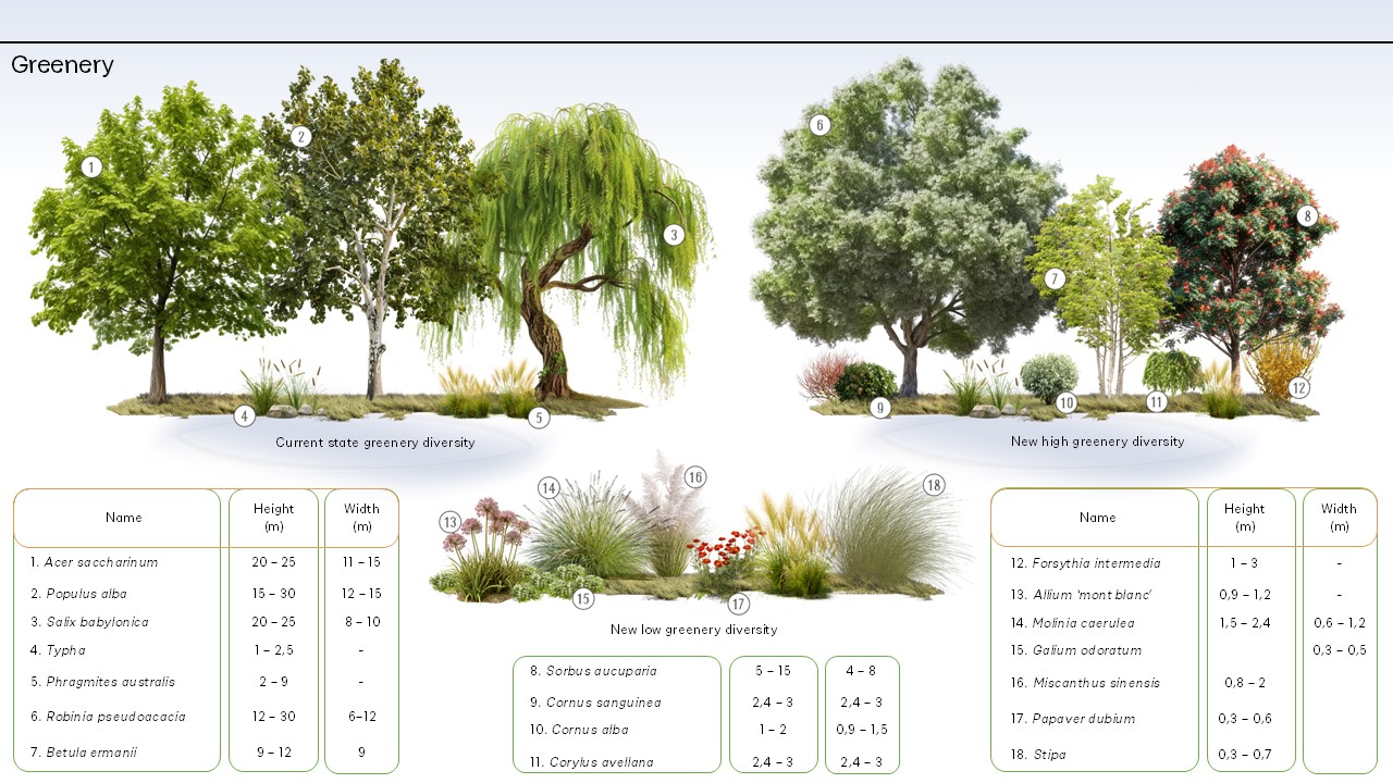 Sluch河附近退化区域复兴等系列项目-11
