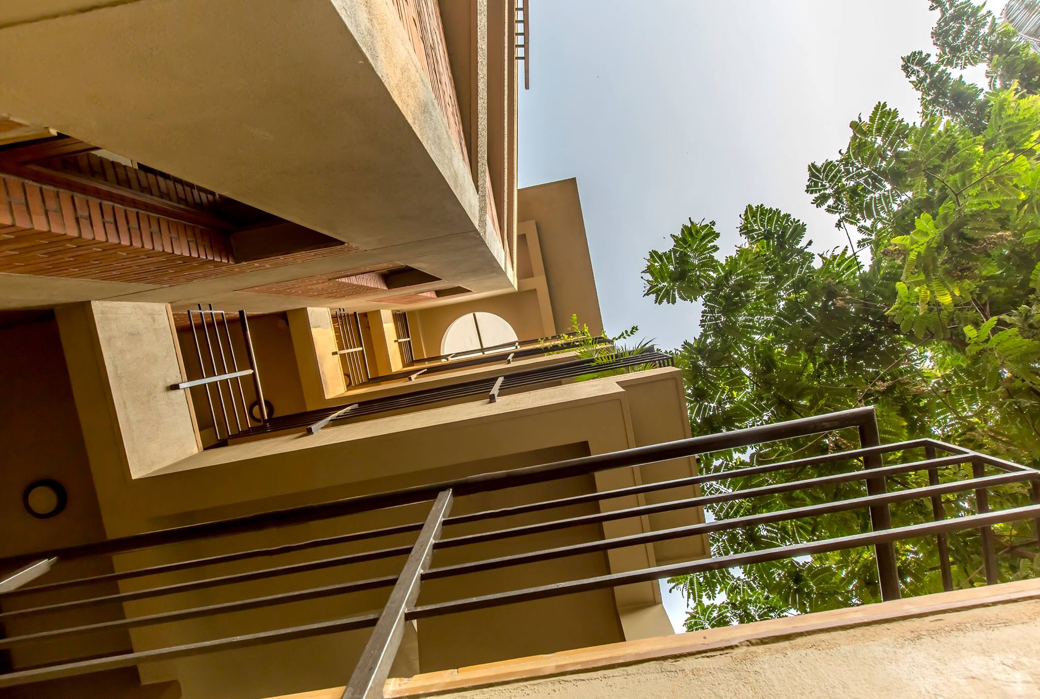 都市峡谷中的垂直生活-2