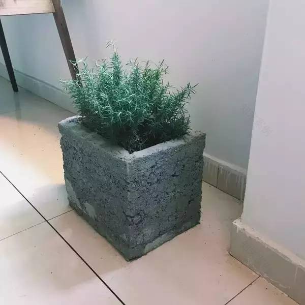 3个85后租下荒废院落,爆改成无数人的理想居所,仅花3万!-71