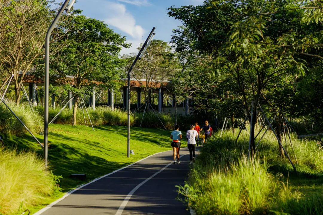 摩天都市中的绿色脉搏 | 深圳笔架山体育公园-137