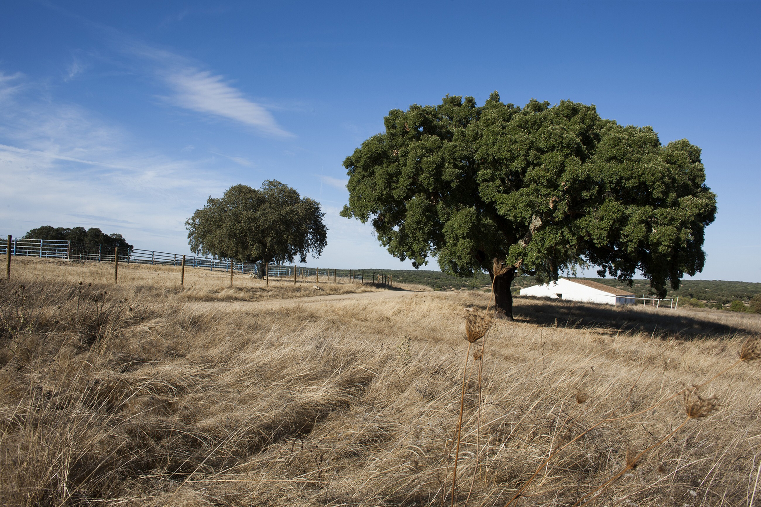葡萄牙 Montemor·o·Novo 地区“时间之屋”-18