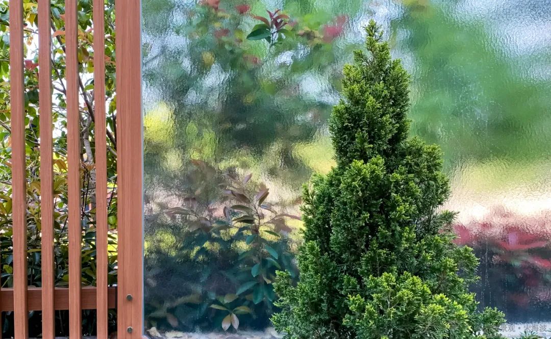 香樟树下的沪上别墅花园设计丨中国上海丨Crisscross Design-41