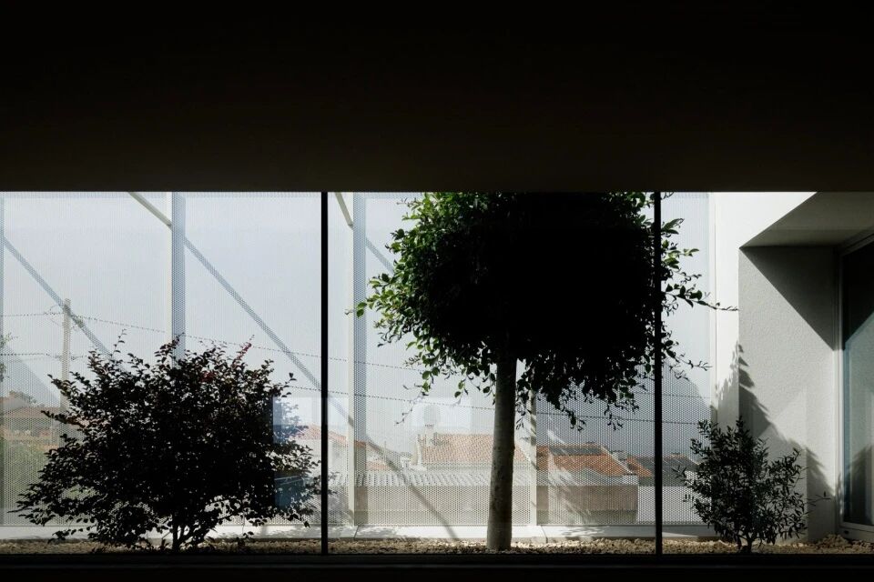 以自然采光与户外空间为核心   极简白色住宅  Arquitetura501-100