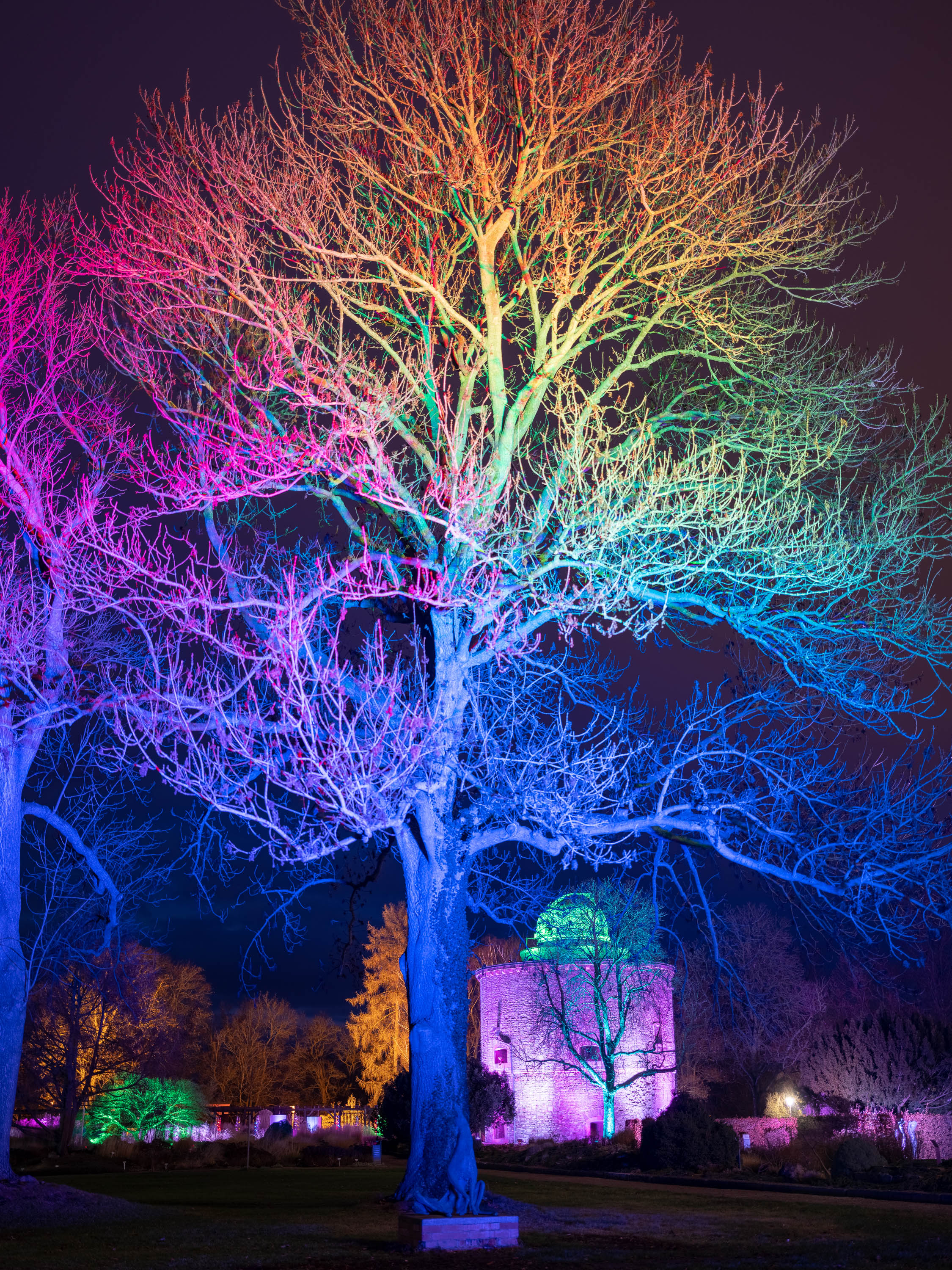 冬日之光丨德国-16