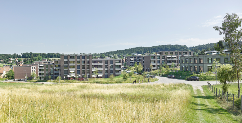 Wohnüberbauung Tüfwis 住宅项目丨瑞士丨Zita Cotti Architekten-0