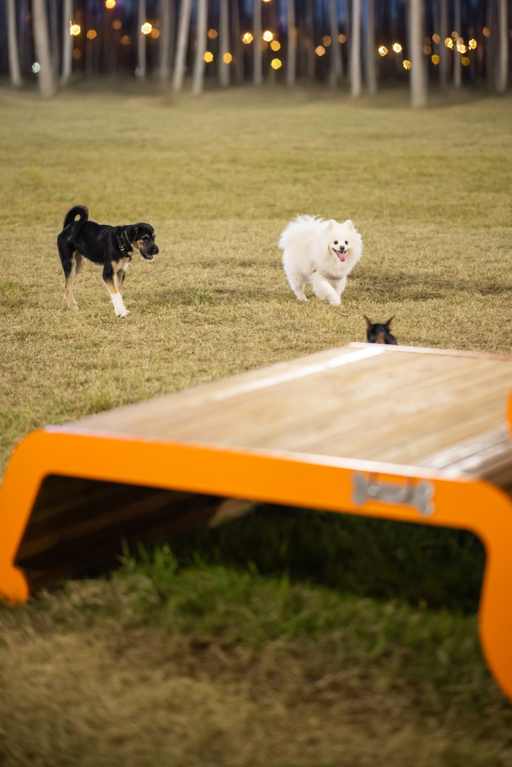 雨花万象天地 场景塑造让商业空间有了 生活温度丨中国南京-38