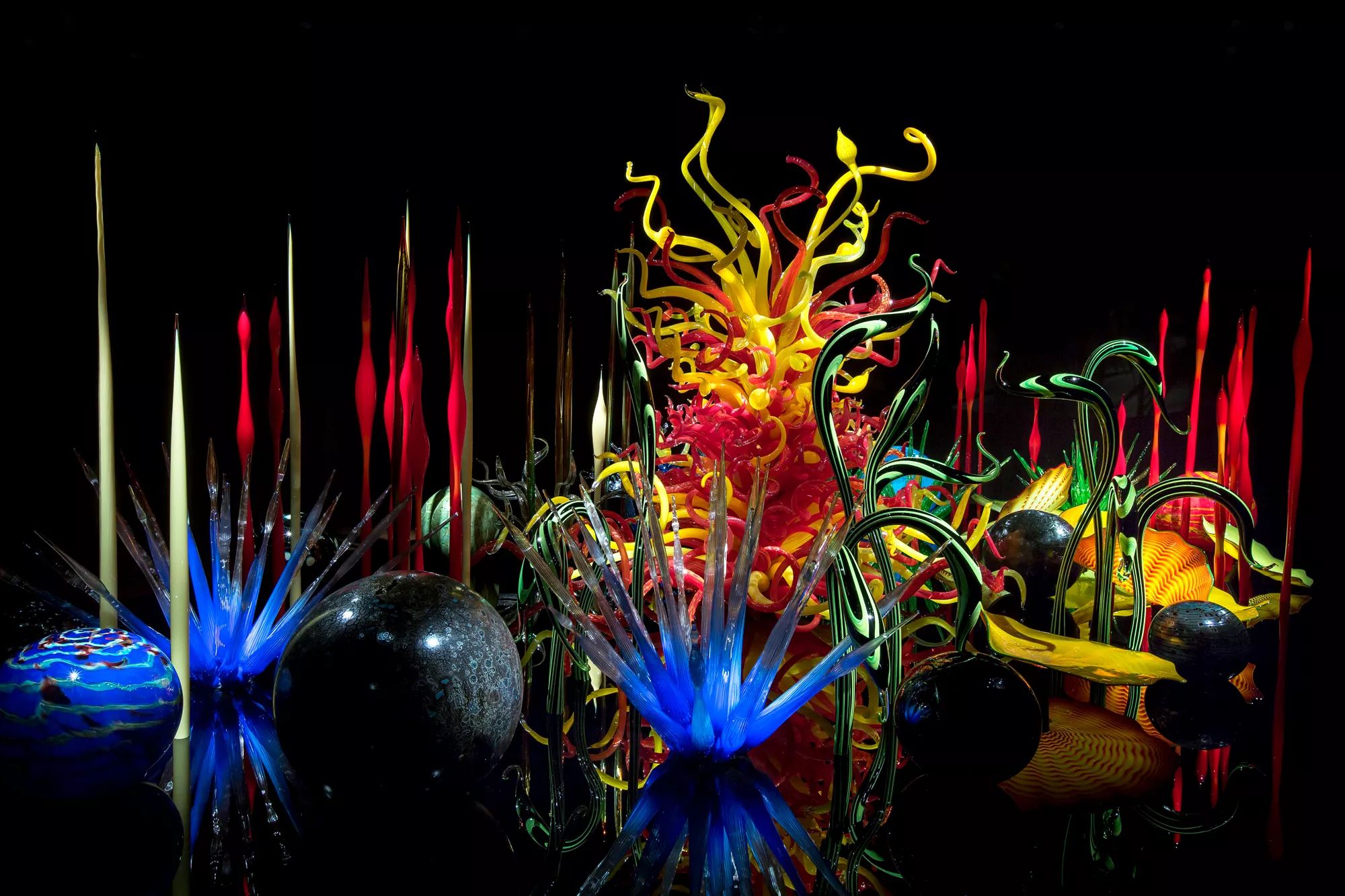 梦幻般的光与色彩 | Dale Chihuly 的玻璃艺术世界-0