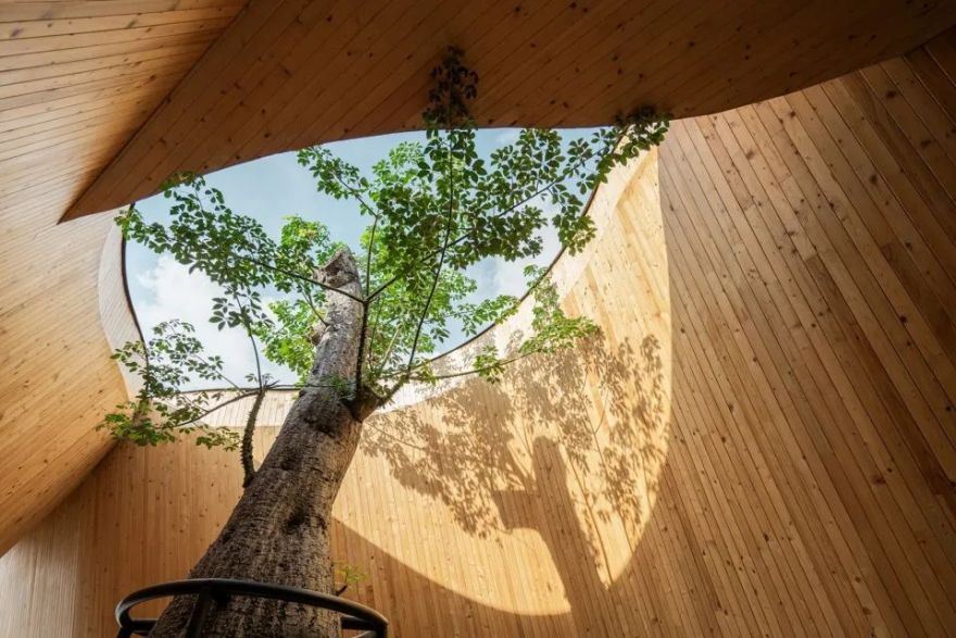 475㎡咖啡烘焙店丨泰国丨IDIN Architects-1