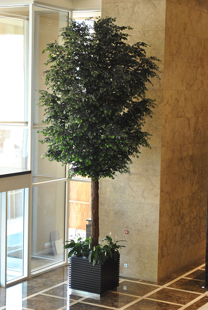 Maintaining a perfect environment for hotel guests-4